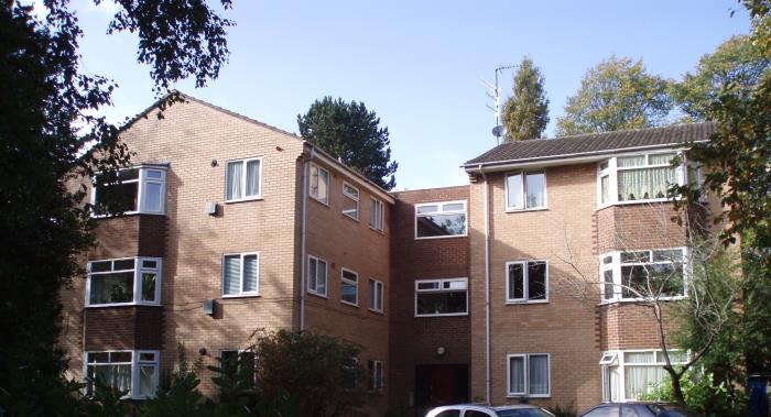 Front view