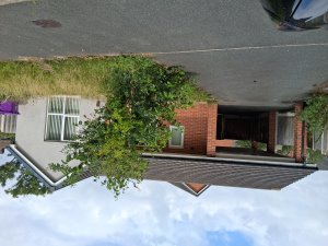 Front view